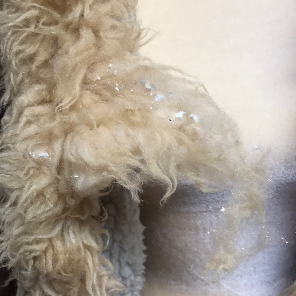 Vintage Winter Suede Coat - Picture 13 of 16